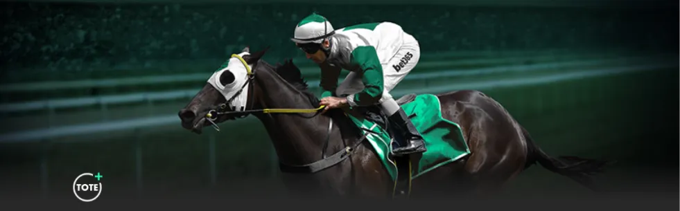 法甲各屆冠,軍隊伍歷史,梳理,V体育,VSports,V体育官网,V体育官网,V体育下载